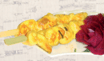 17 Sate Gai